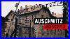 Auschwitz_Racont_Par_Trois_D_Port_S_Discover_01_lln