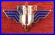INSIGNE_FORCES_FRANCAISES_LIBRES_dit_MOUSTIQUE_Matricule_01_ex