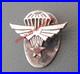 Insigne_1_RCP_Miniature_Veteran_SAS_Brevet_Parachutiste_Infanterie_Air_ORIGINAL_01_pi