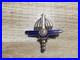 Insigne_Tap_191_Cie_De_Reparation_Et_D_Entretien_Des_Parachutes_Drago_01_oia