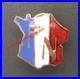 Insigne_email_FFI_Resistance_Cadre_FN_Front_National_1944_Communisme_Leader_01_phd