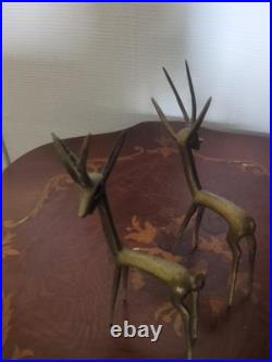 Paire de Gazelles en bronze patiné Circa 1960