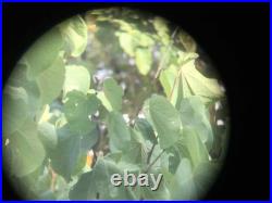 Paire de jumelles Hensoldt-Wetzlar 7x42 Volkssturm WH Heer