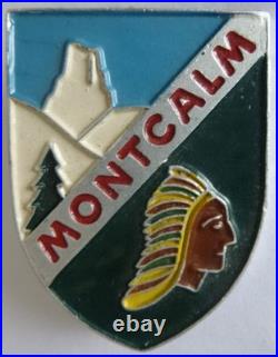 WW2-METAL léger peint Groupement 9 LE ROC Gr. 2 MONTCALM CHANTIERS de JEUNESSE